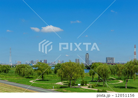 青空が広がる荒川右岸和田緑地帯 12051156