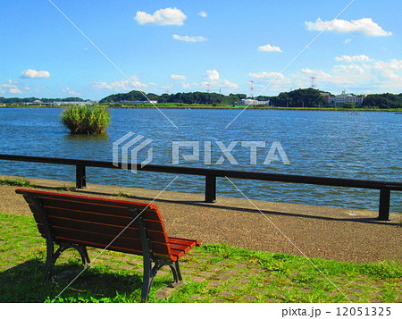 手賀沼公園 12051325