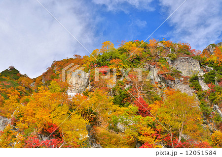 黒部立山アルペンルートの紅葉　大観望 12051584