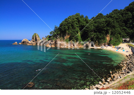 夏の笹川流れ 12052446