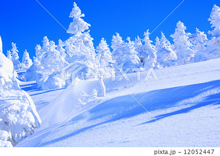 森吉山の樹氷 12052447