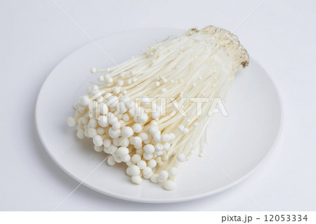 エノキダケ 12053334