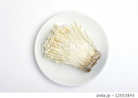 エノキダケ 12053845