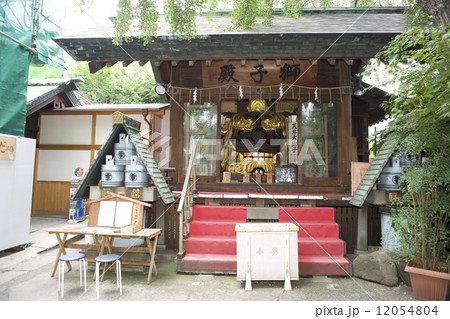 獅子頭 獅子頭 12054804