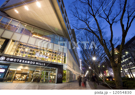 表参道の夜景 表参道の夜景 12054830