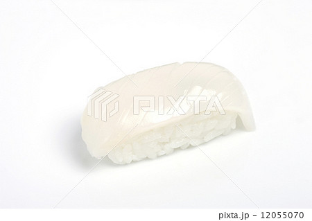 にぎり寿司　アオリイカ 12055070