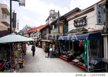 東京　柴又帝釈天参道 12055090