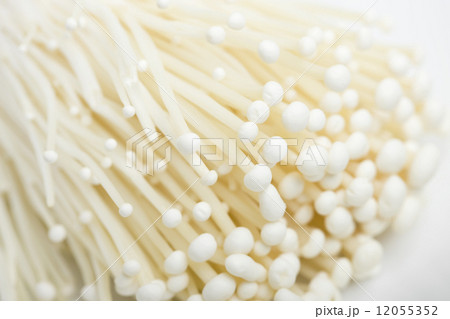 エノキダケ 12055352