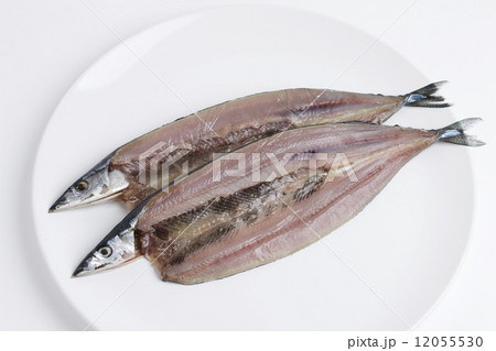 サンマの干物 サンマの干物 12055530