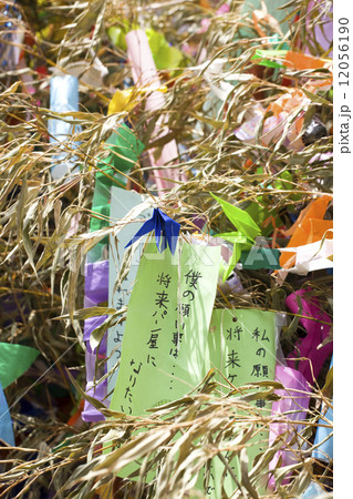 東京　下町七夕まつり 12056190