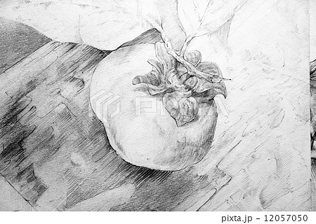鉛筆デッサン 12057050