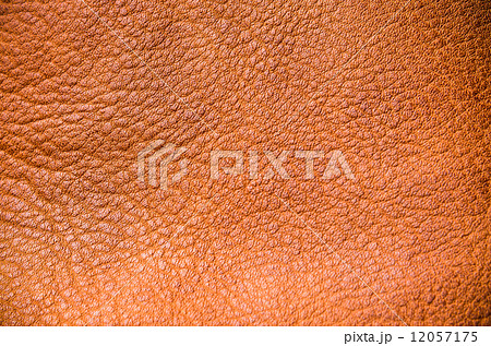 Leather texture 12057175