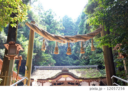 大神神社　狭井神社の鳥居 12057256