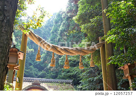 大神神社　狭井神社の鳥居 12057257