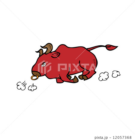Bull 12057368