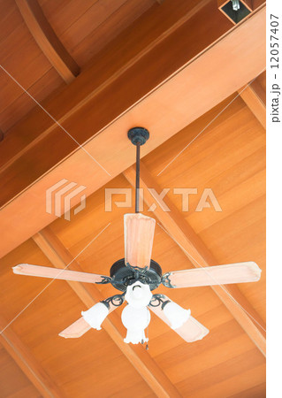 Beautiful hanging ceiling fan with glass lamps 12057407