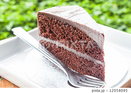 Double chocolate custard cake layers on white dish 12058095