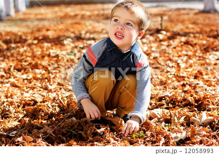 Little toddler boy in autumn park Little toddler boy in autumn park 12058993