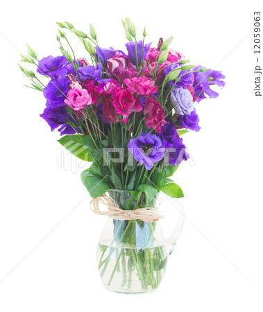 bouquet  of  violet and mauve eustoma flowers 12059063