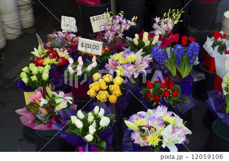 68618　花屋 12059106