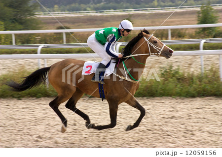 Horse racing. 12059156