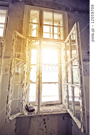 old window 12059709