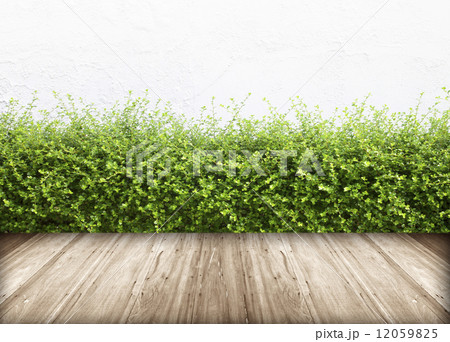 Old wall and green grass 12059825