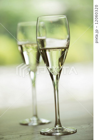 シャンパン シャンパン 12060320