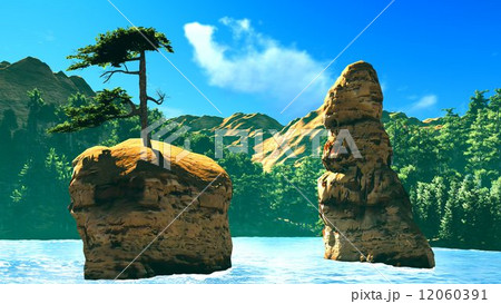 Siberian taiga 12060391
