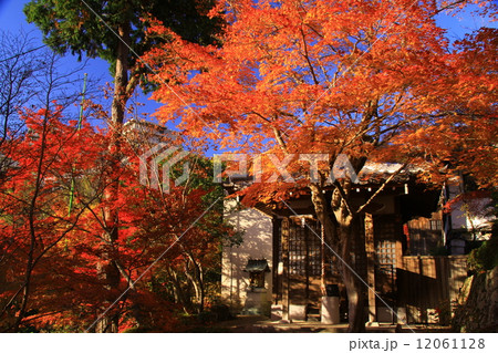 箕面　弁財天尊（大阪）の紅葉 12061128