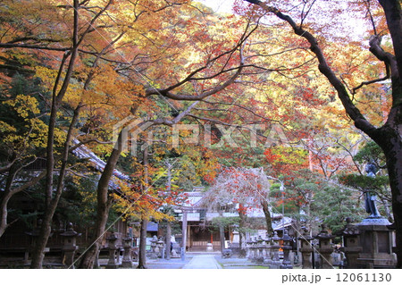 箕面公園(大阪)瀧安寺境内の紅葉 箕面公園(大阪)瀧安寺境内の紅葉 12061130