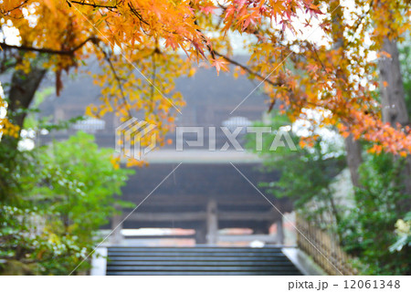 円覚寺の紅葉 12061348