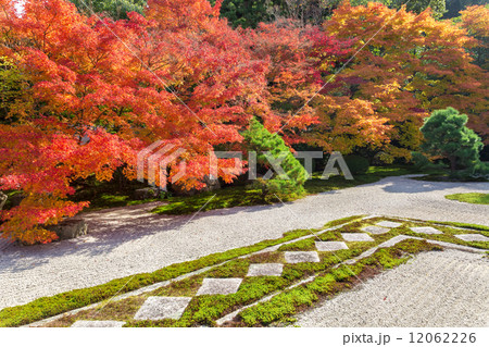 秋の天授庵 秋の天授庵 12062226