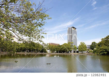 多摩中央公園 12062491