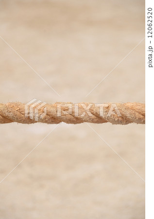 綱引きの綱 綱引きの綱 12062520