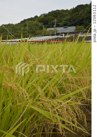 八王子市　鑓水　絹の道周辺の９月は 12063112