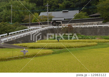 八王子市 鑓水 絹の道周辺の9月は 八王子市 鑓水 絹の道周辺の9月は 12063122