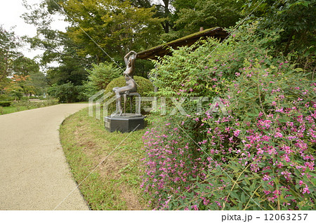 片倉城址公園の秋は　八王子市　東京 12063257