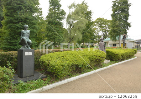 片倉城址公園の秋は　八王子市　東京 12063258
