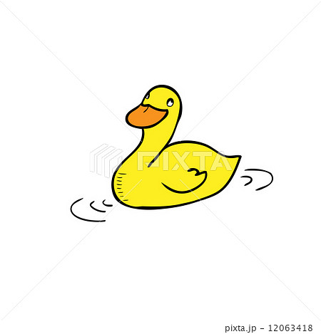Duck 12063418