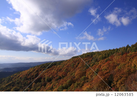 横谷渓谷（2013年） 12063585