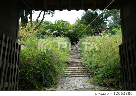 百毫寺（萩） 12063886