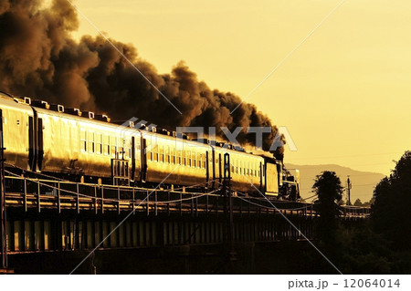 夕焼けに 12064014