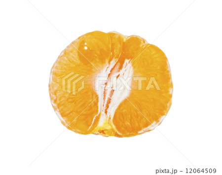 Purified half tangerine  12064509