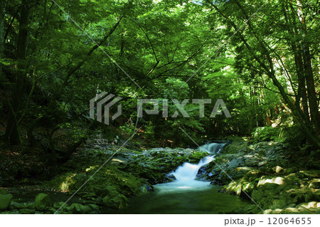 滑沢渓谷 12064655