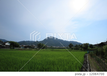 二上山_8362 12064700