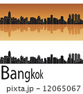 Bangkok skyline 12065067