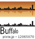 Buffalo skyline 12065070