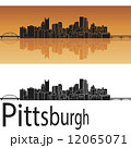 Pittsburgh skyline 12065071