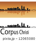 Corpus Christi skyline 12065080